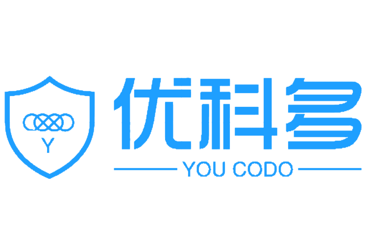 湖南省优科多信息技术 以专业信息技术咨询服务，助力企业数字化转型